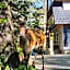 Tatrzańska Miejscówka - Apartamenty Centrum