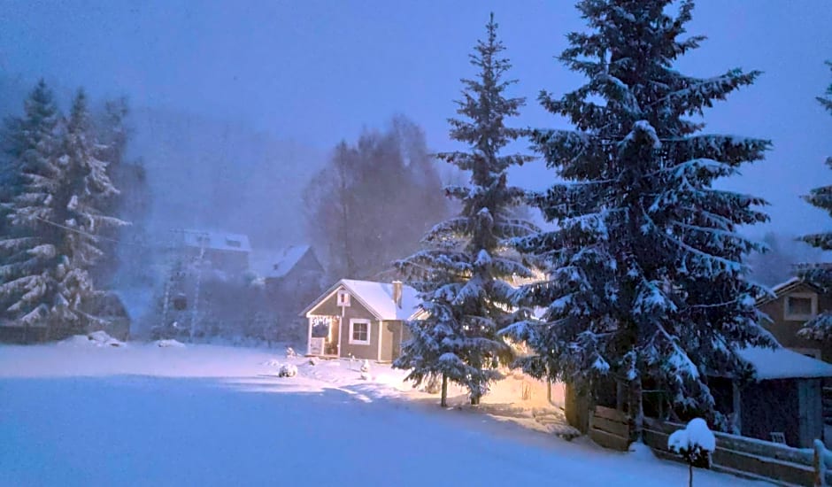 Domki w Dolinie Wieżycy