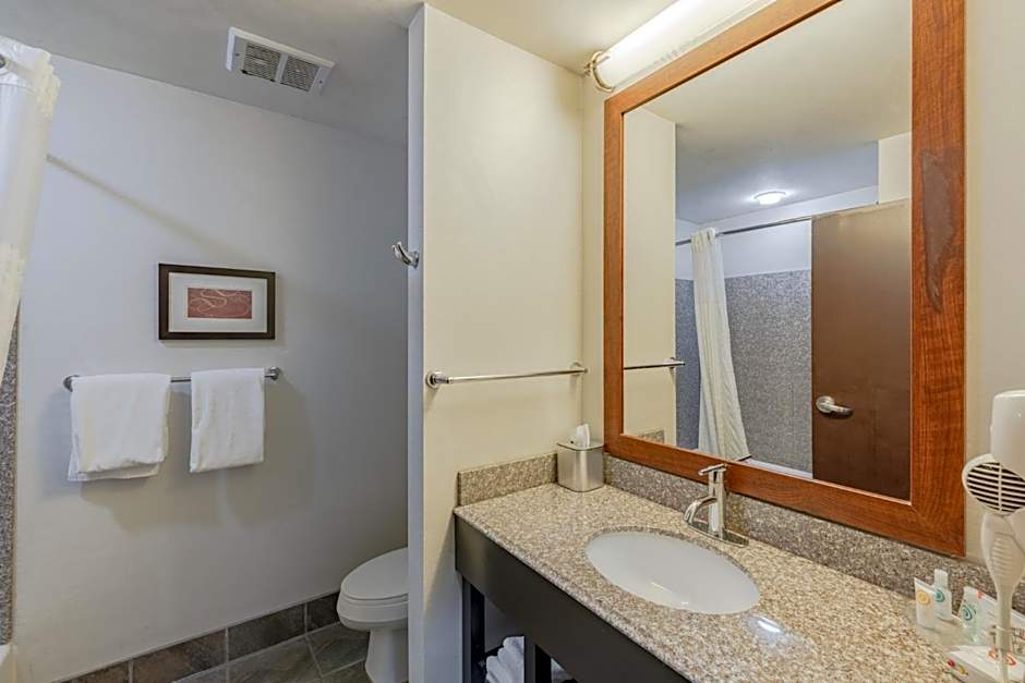 Comfort Suites Perrysburg