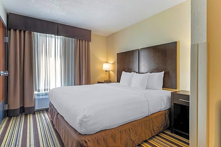 Comfort Inn & Suites Triadelphia - Wheeling