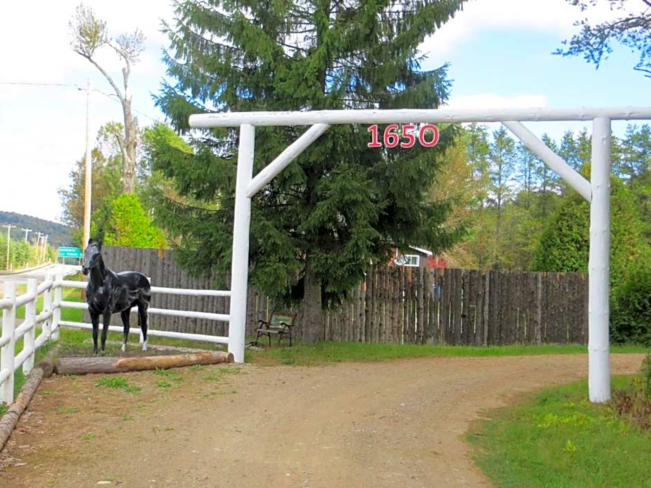 La maison sous les arbres