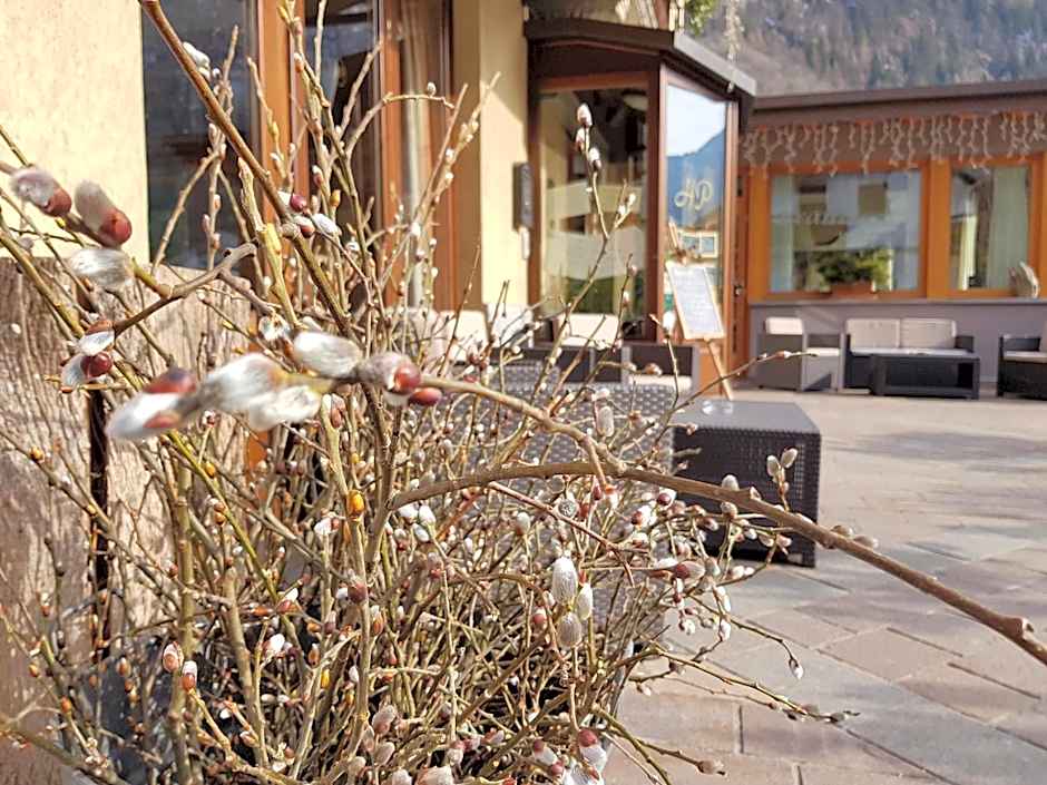 Hotel Pedretti