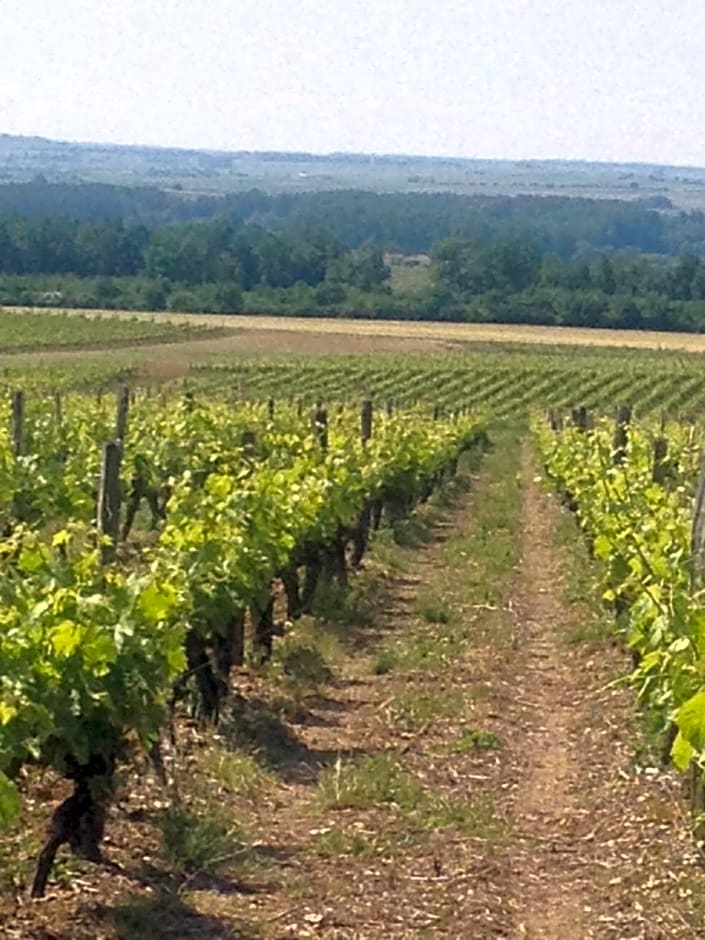 Gite du Calme 3 Star Bed & Breakfast Cognac
