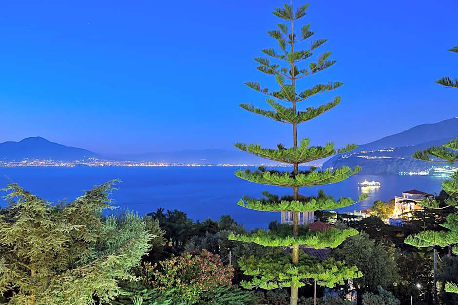 Hotel Grand Vesuvio