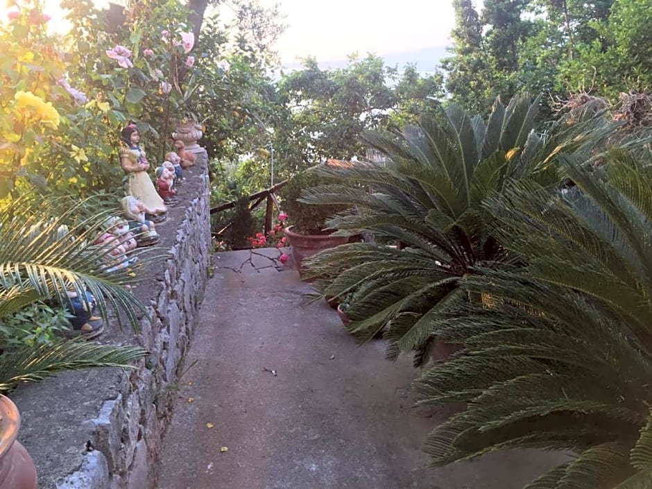 La Palombara – Vico Equense, CO