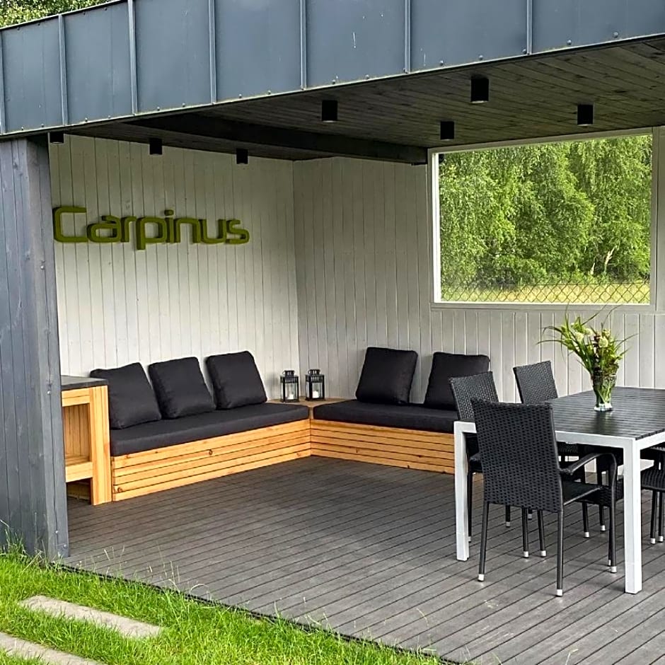 Carpinus - domek nad jeziorem Łętowo