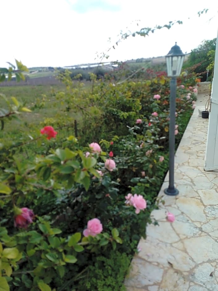 Il Poggetto Marzamemi B&B