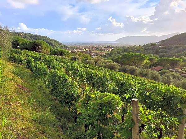 Agriturismo La Carreccia