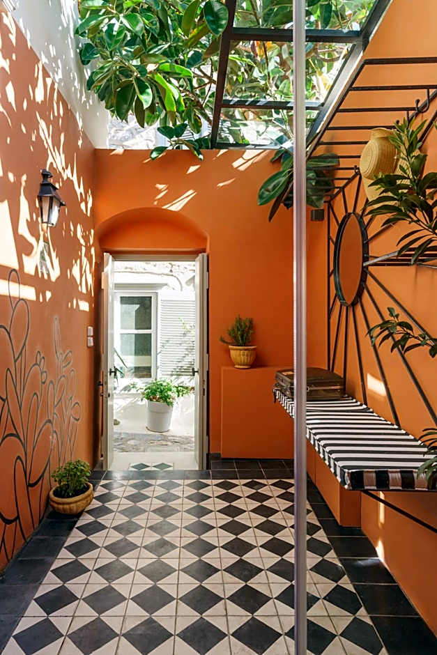 Cactus Hydra - Art Apartments