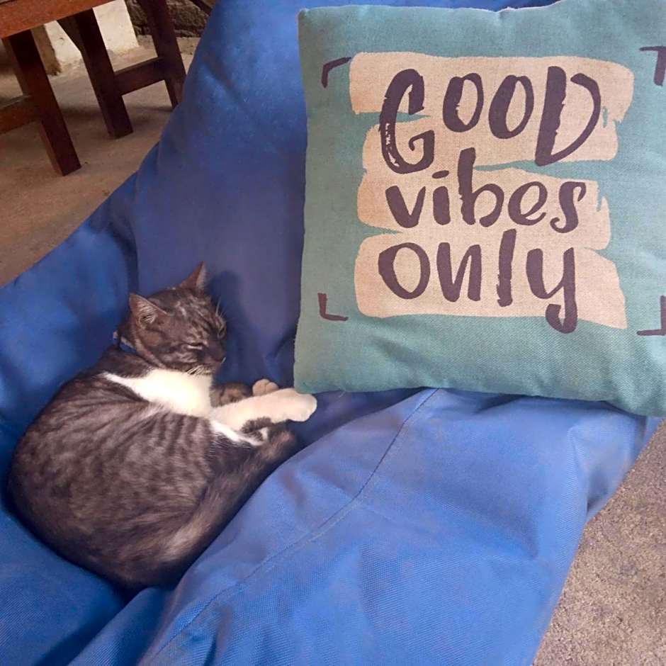 Good Vibes Bungalows