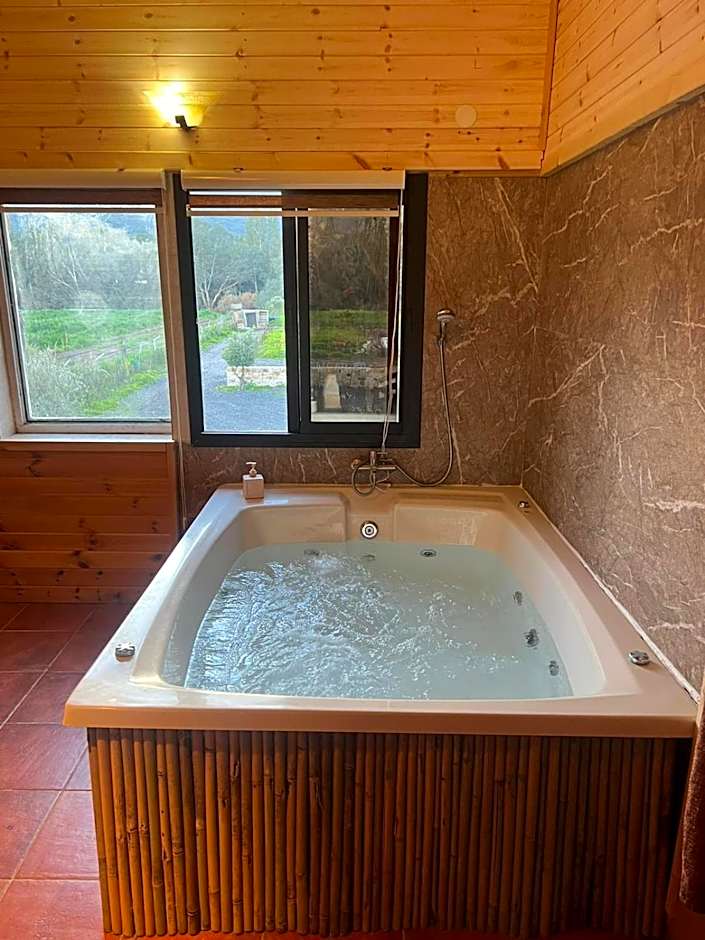 בוסתן החורש