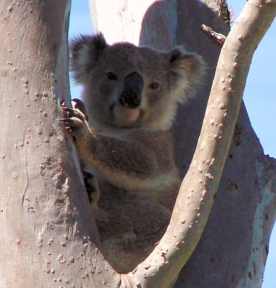 Clarence River Bed & Breakfast