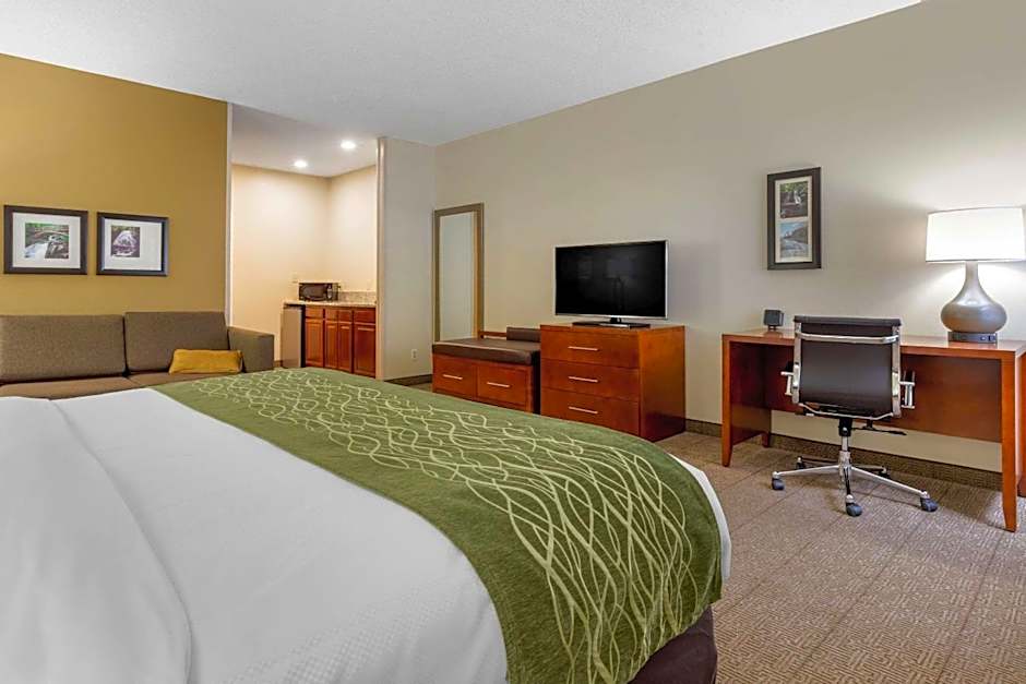 Comfort Inn & Suites Lenoir Hwy 321 Northern Foothills