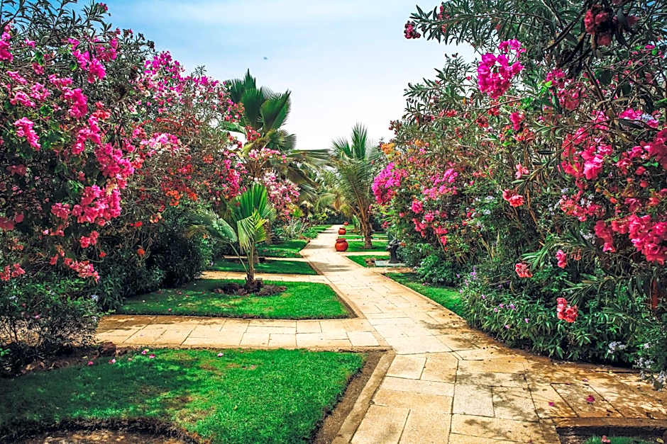Royal Horizon Baobab