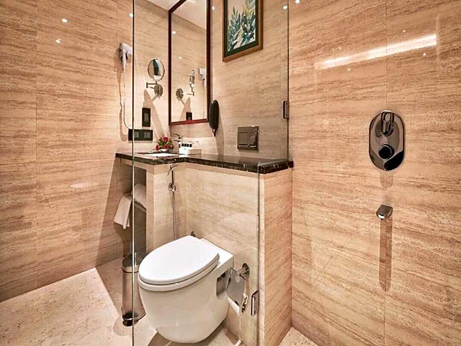 Hotel Vishal Residency Mahipalpur Near IGI Delhi Airport