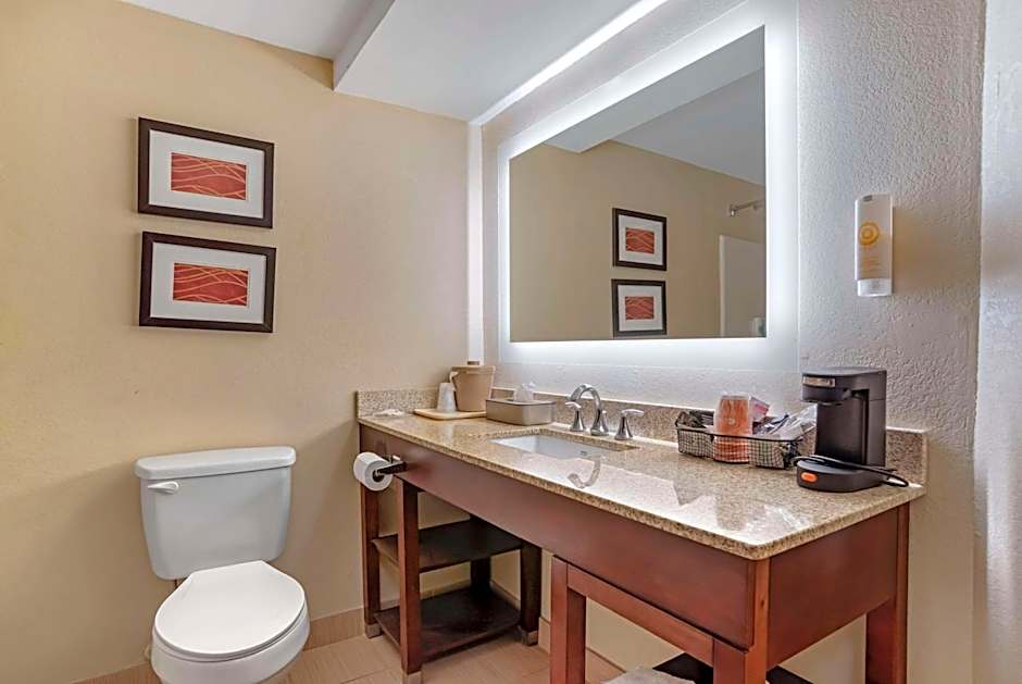 Comfort Inn Opelika - Auburn