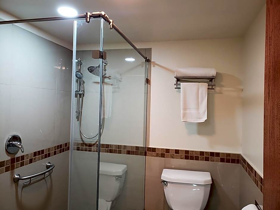 La Villa de Zaragoza