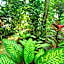 Santi Garden Bungalows
