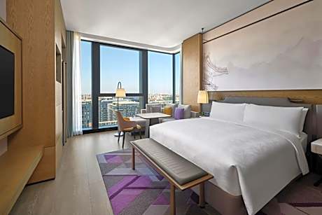 Deluxe King Room with City View