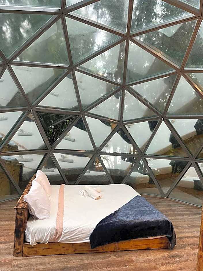 Quinta do Abacate - Glamping Park