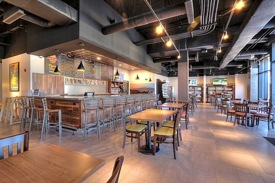 Holiday Inn & Suites Pigeon Forge Convention Center By IHG