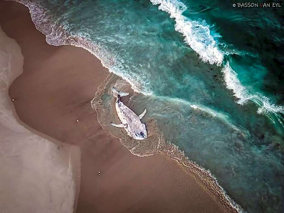 Draaihoek Lodge & Restaurant