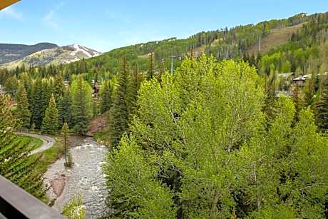 Deluxe One-Bedroom Apartment