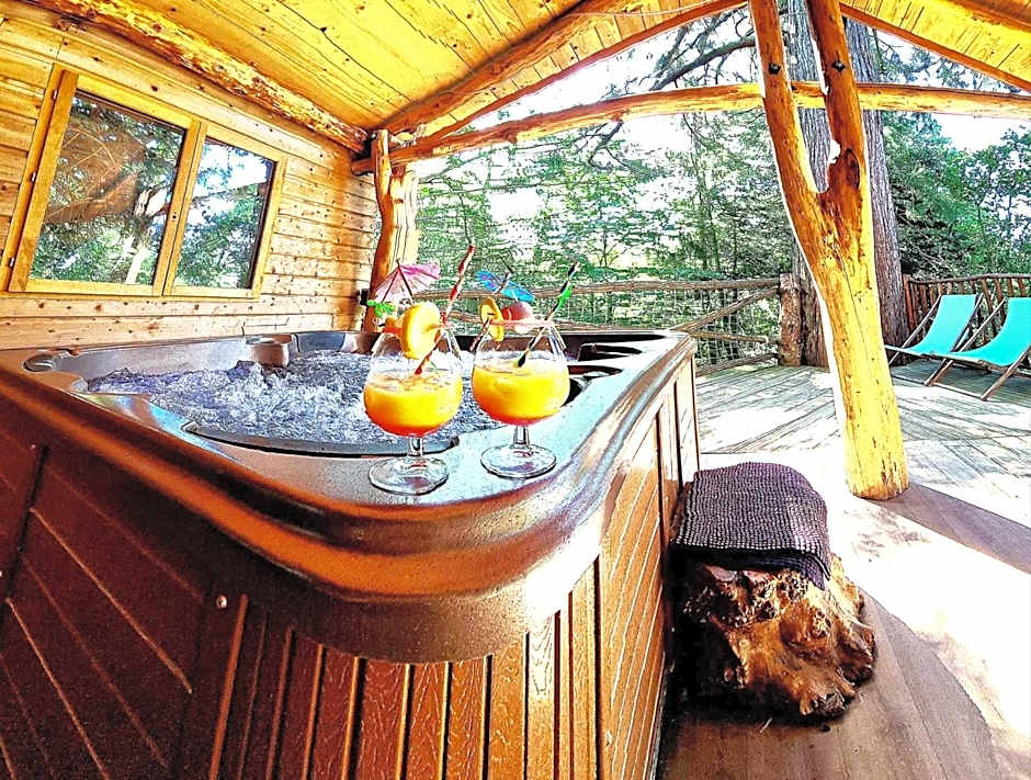 Domaine de la Font Vineuse & Spa