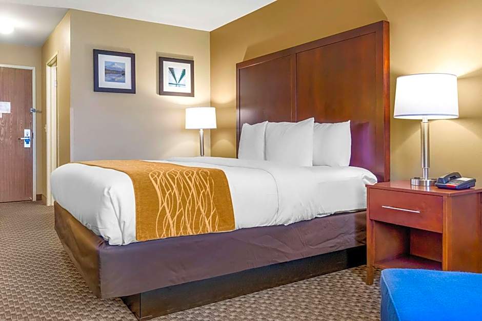 Comfort Inn Auburn - Seattle