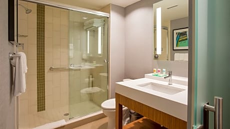 Standard King (with sofa bed)