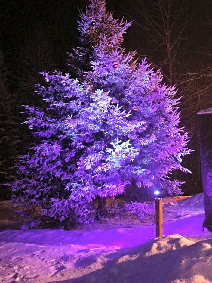 Suite in the Bush-Private Apartment