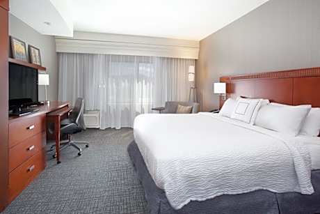 Suite, 1 King, Sofa bed