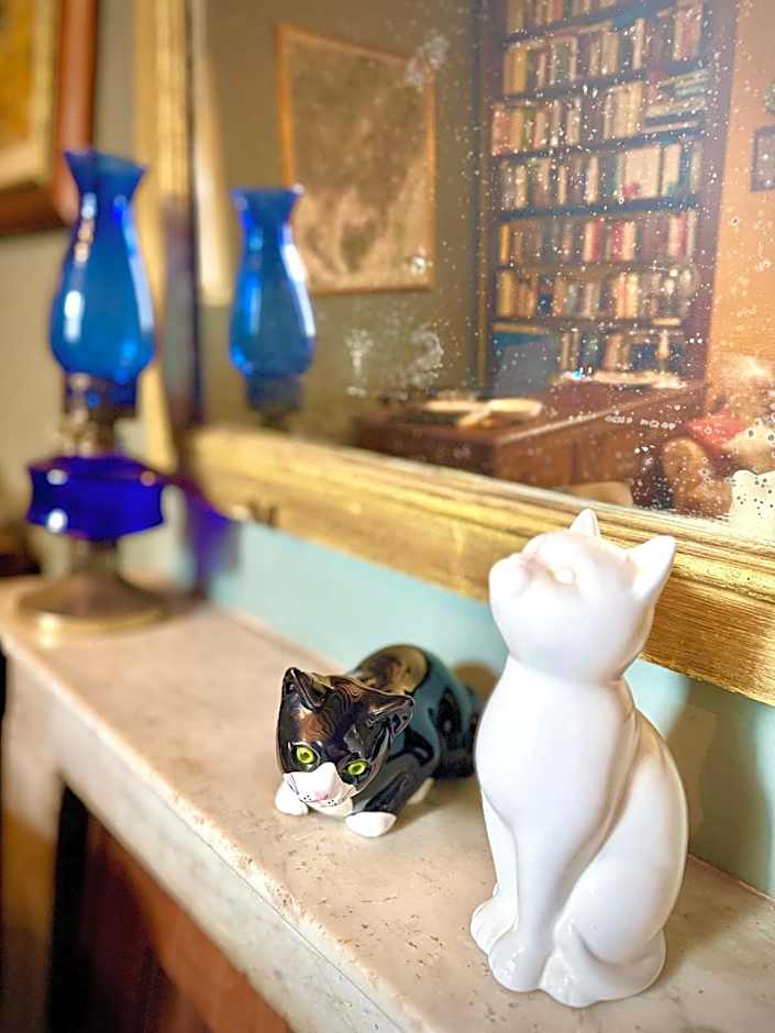 Villa La Dogana B&B di Charme - Historic Villa with a beautiful garden - private parking