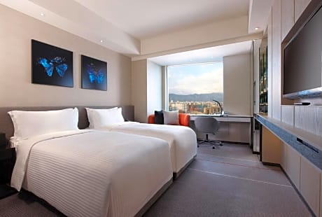 Twin Accessible Room