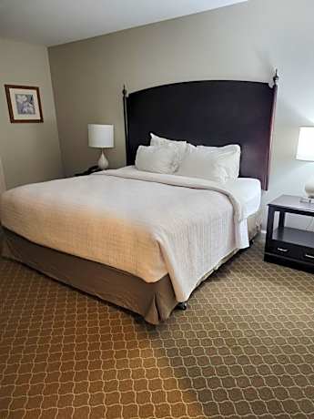 Superior King Room - Non-Smoking