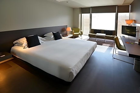 Executive Double or Twin Room