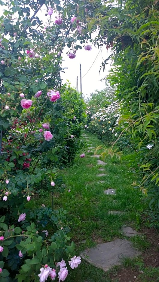 B&B Villa Giardini Susanna