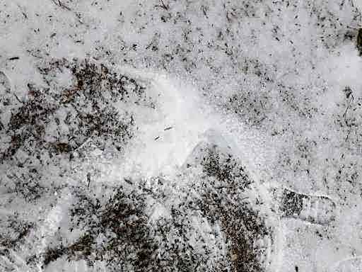 Pousada Chales Aconchego Serrano