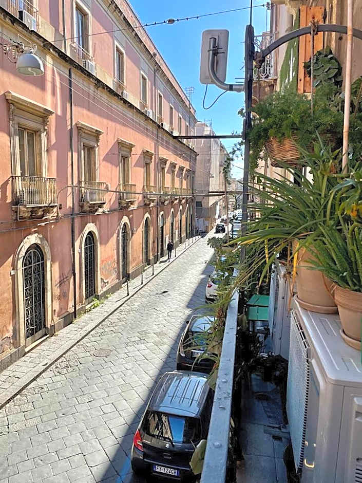 Minihomecatania