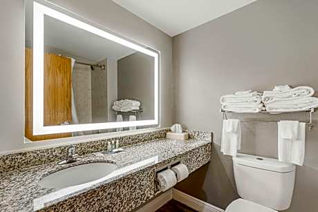 1 King Bed Nonsmoking