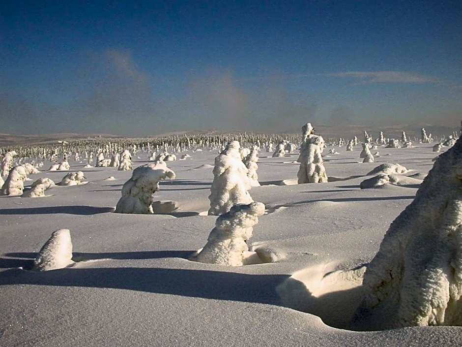 Apartmány hotelu Ostrý