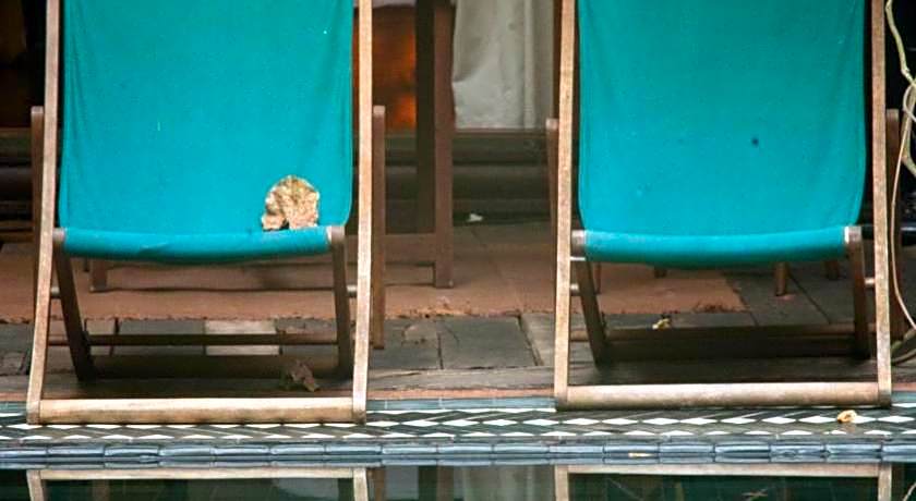 Chandra Residence, luxury, warmth and playfulness!