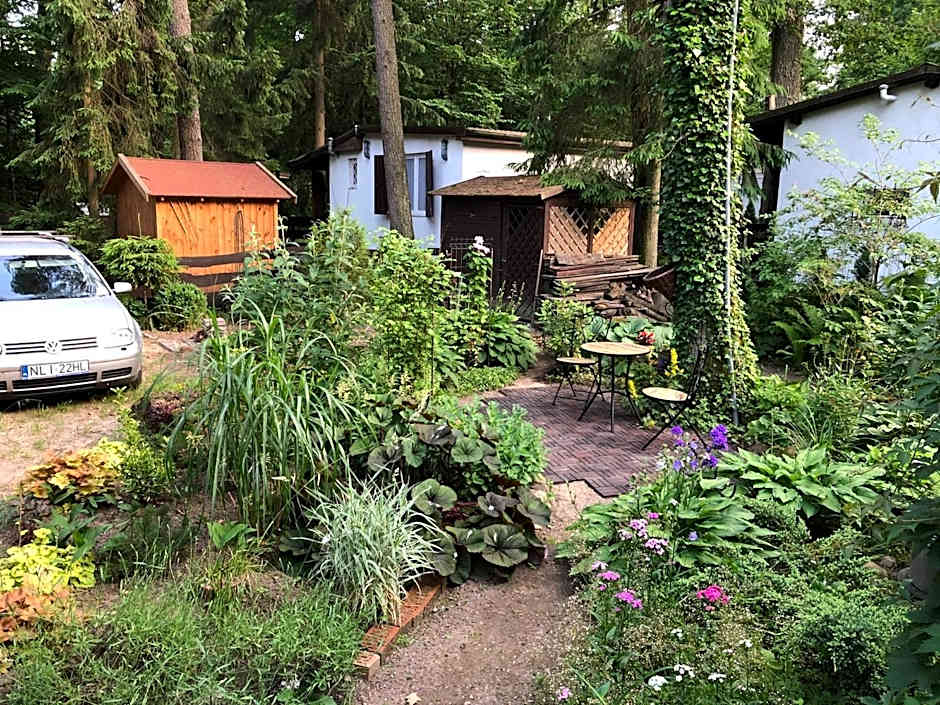 Letnisko SYMSAR 6, Drewniany domek letniskowy z ogrodem