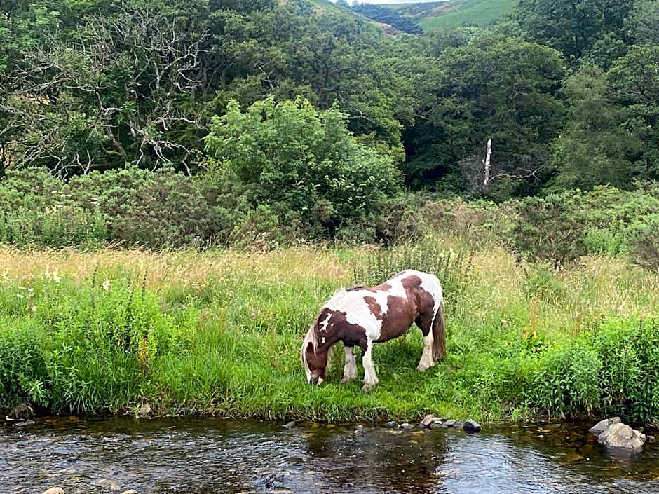 Bedwellty Lodge near BikePark Wales
