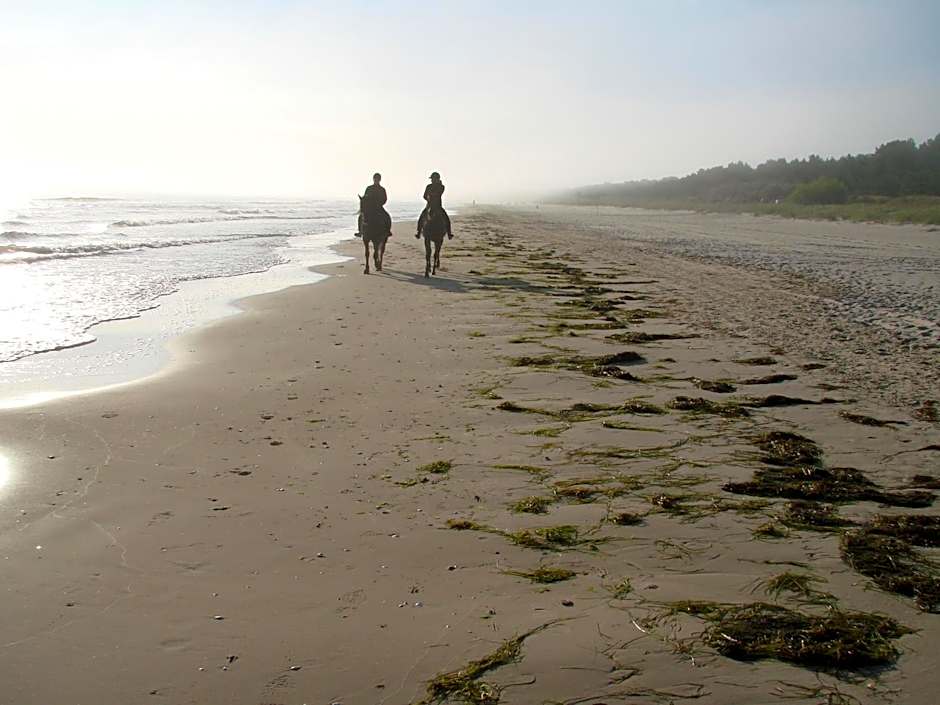 Friesenhof Hotel-Restaurant-Reitanlage