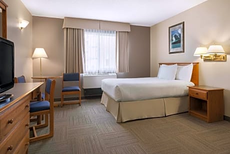 Queen Suite