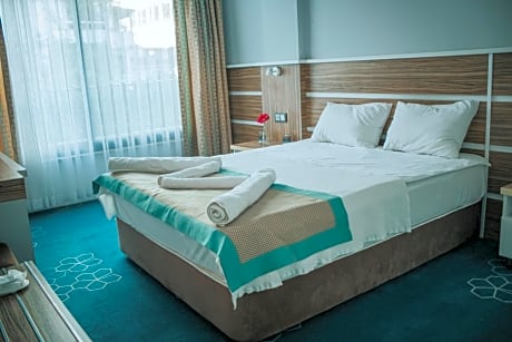 Superior Double or Twin Room with Garden View