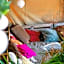 Surfana Vlieland Surf Host en Bed & Breakfast