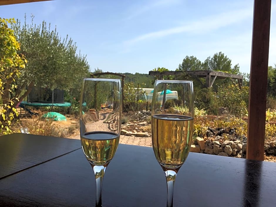 Le Petit Paradis – Lorgues, ID