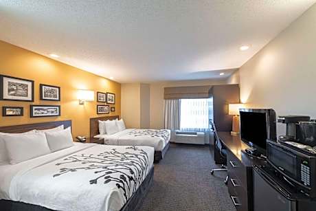 Double Room with Two Double Beds - Non-Smoking